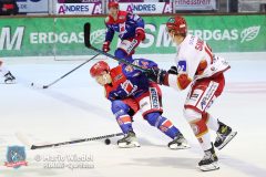 SelberWoelfe_vs_EVLandshut_068