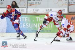 SelberWoelfe_vs_EVLandshut_074