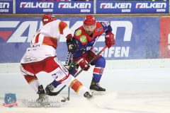 SelberWoelfe_vs_EVLandshut_111