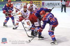 SelberWoelfe_vs_EVLandshut_116