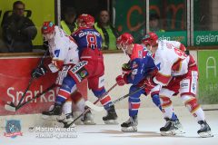 SelberWoelfe_vs_EVLandshut_125