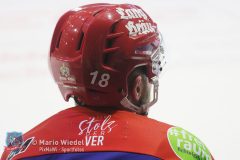 SelberWoelfe_vs_EVLandshut_132