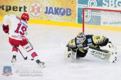 BayreuthTigers_SelberWoelfe_w_094