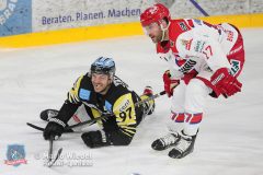 BayreuthTigers_SelberWoelfe_w_132